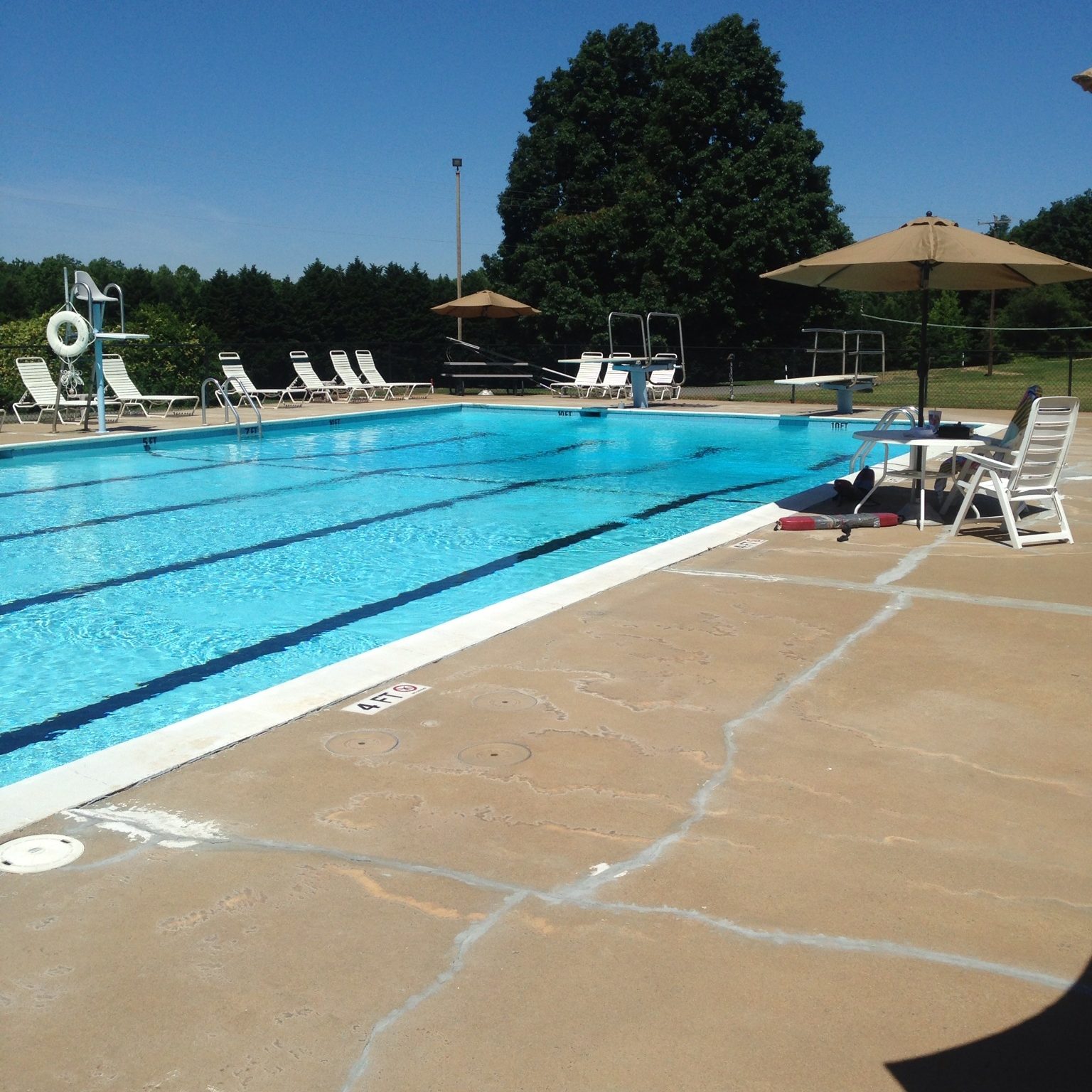 pool on a sunny day