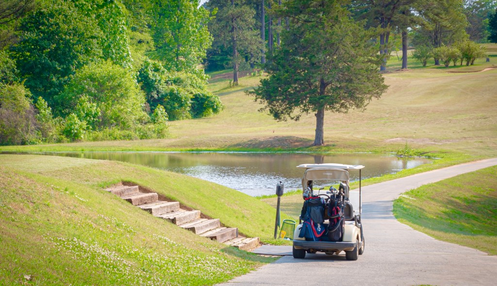 golf cart on path with lake in the background